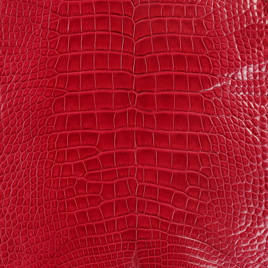 Alligator - Red 77  - Millennium 