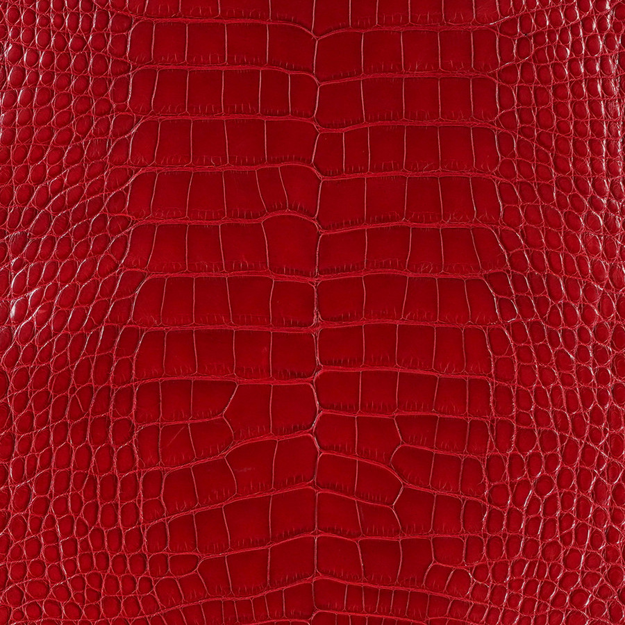 Alligator - Red 88 - Millennium 