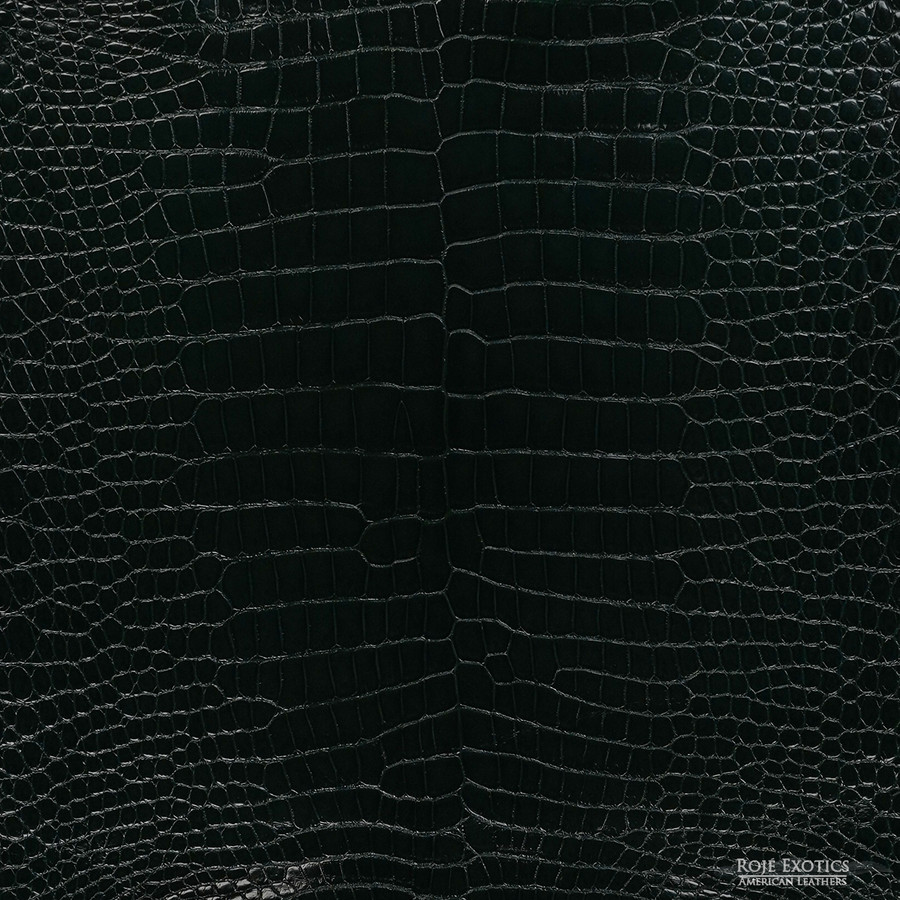 Porosus - Forest - Millennium