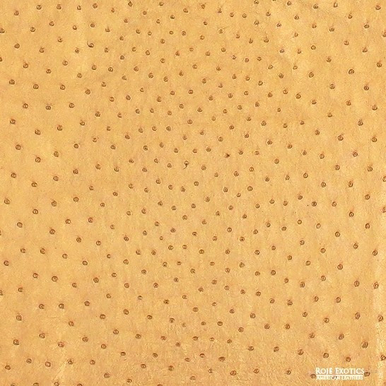 Ostrich - Yellow  - Iridescent 