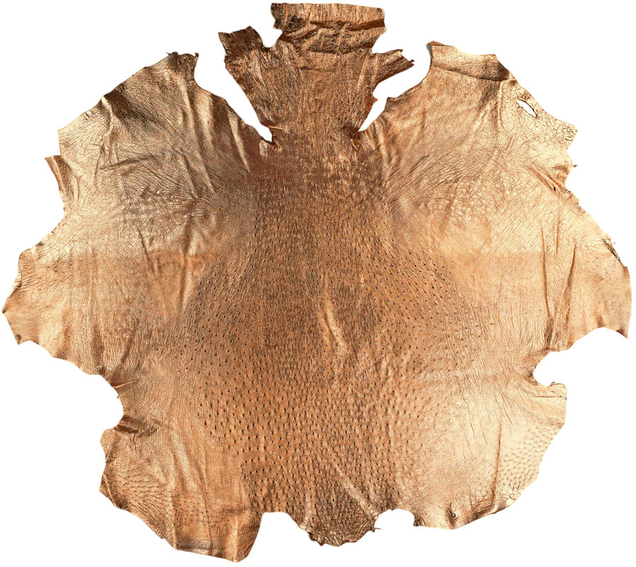 Ostrich - M. Gold  - Metallic