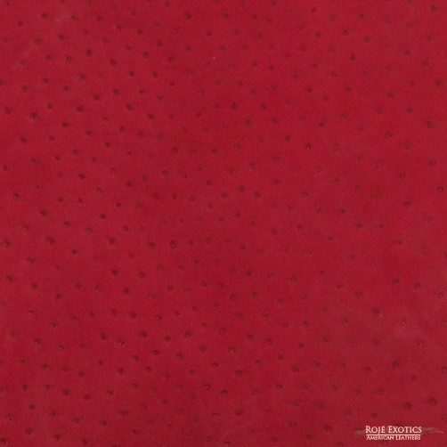 Ostrich - Berry - Nubuck 