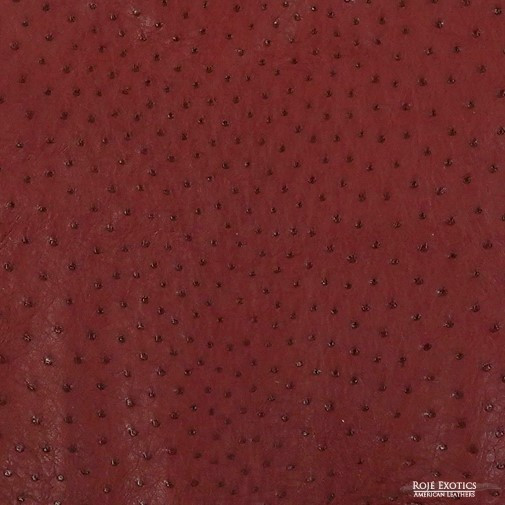 Ostrich - Mahogany - Matte