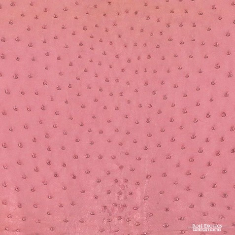 Ostrich - Pink - Iridescent 