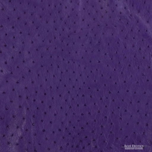 Ostrich - Amethyst  - Matte 