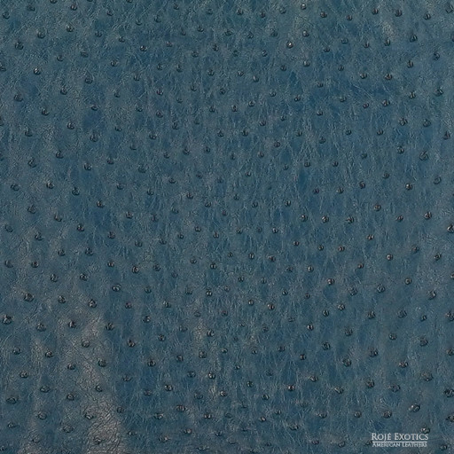 Ostrich - Cobalt - Iridescent 