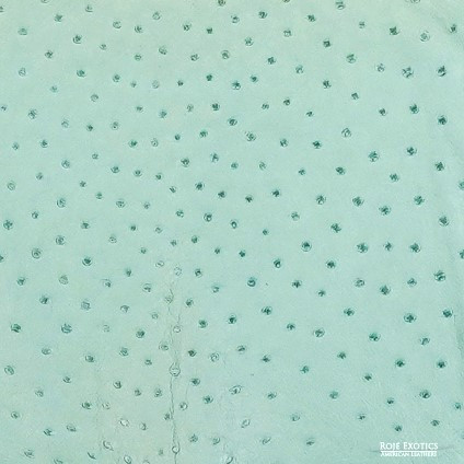 Ostrich - Cascade - Matte  