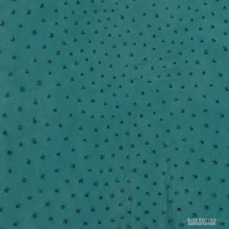 Ostrich - Seaweed - Matte  