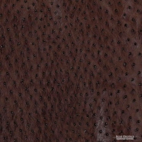 Ostrich - Kango Tabac - Shiny