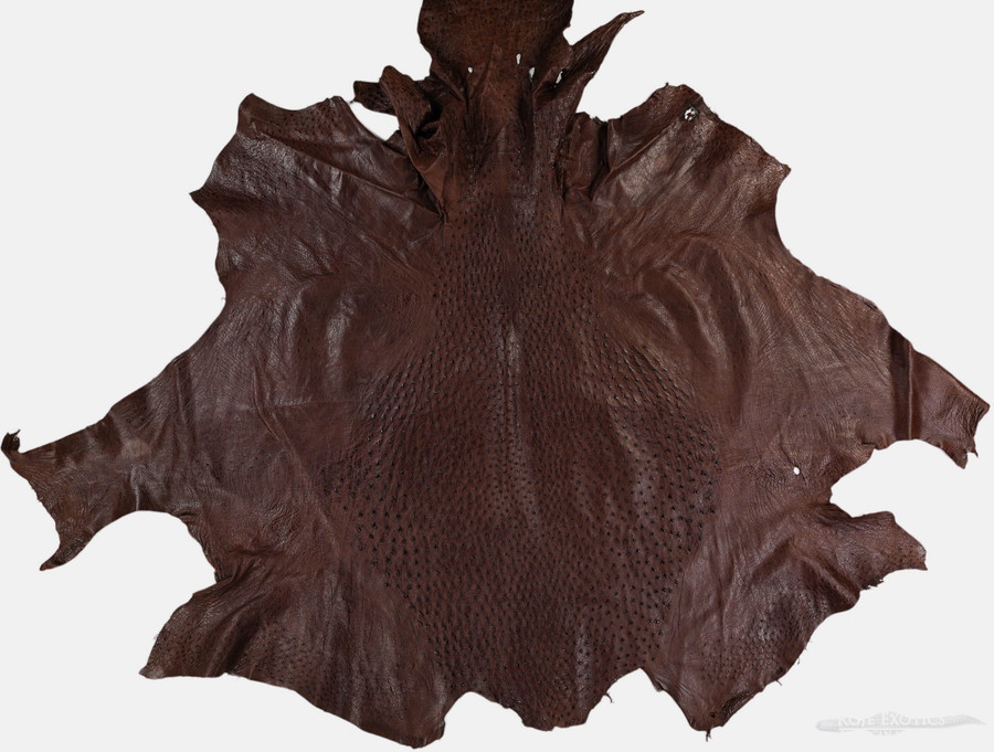 Ostrich - Kango Tabac - Shiny