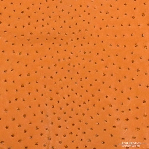 Ostrich - Chestnut - Matte  