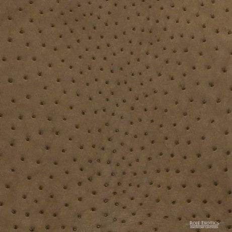 Ostrich - Mouse - Matte  