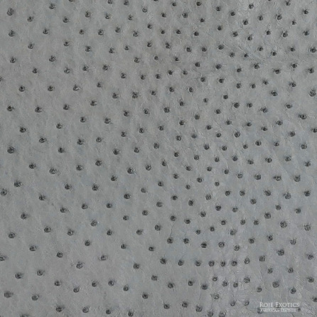 Ostrich -Quartz - Matte  