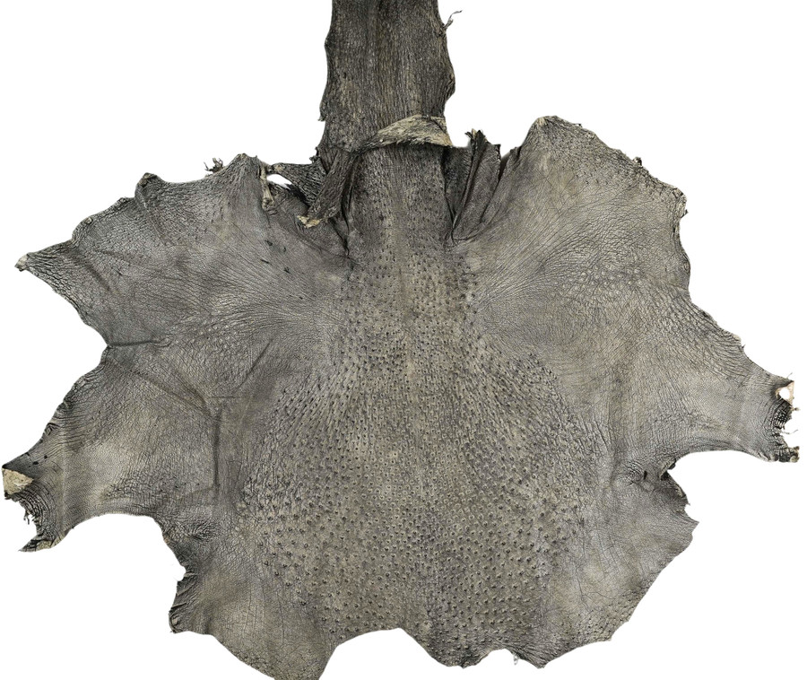 Ostrich -Bone WO - Matte  