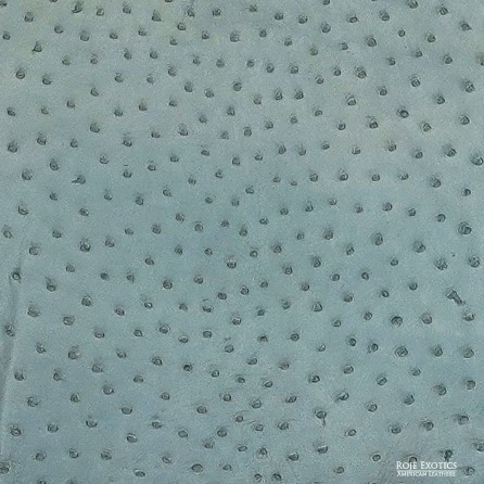 Ostrich - Truex - Matte  