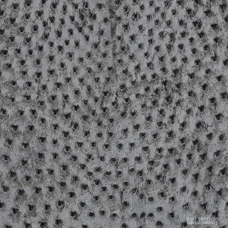 Ostrich -Lead RG - Matte  