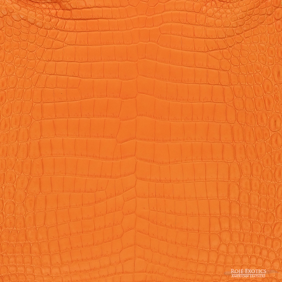 Niloticus - Apricot - Matte