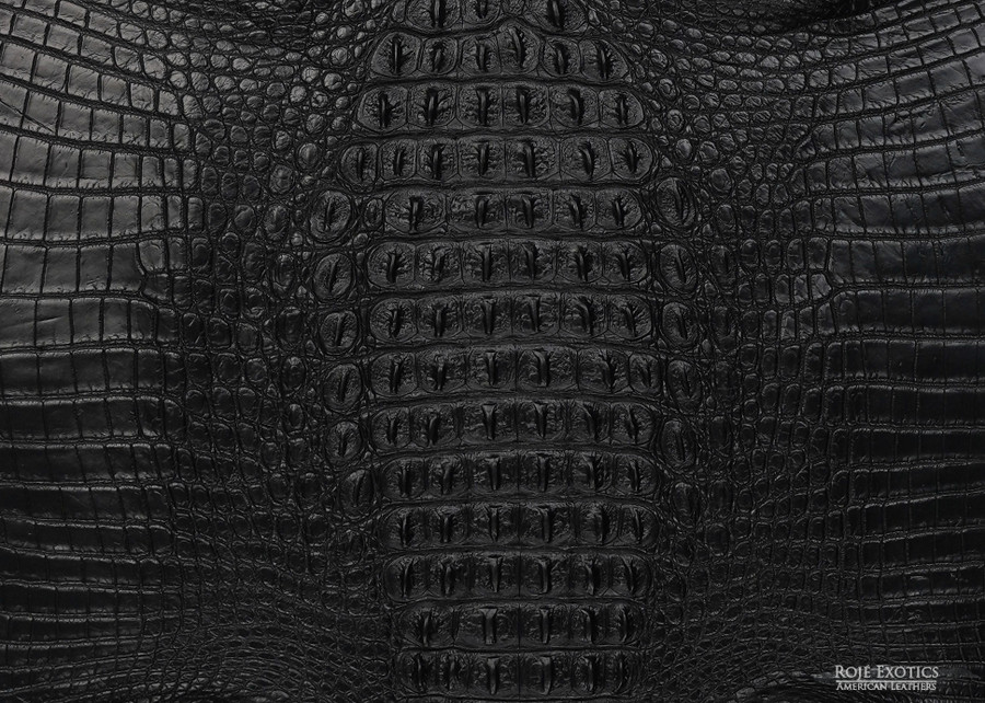Niloticus - Hornback - Black