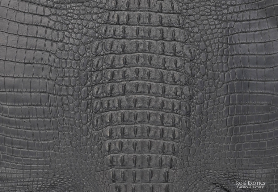 Niloticus - Hornback - Grey 