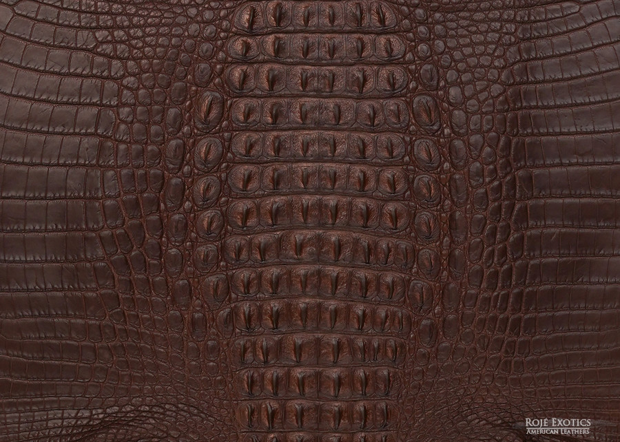Niloticus - Hornback - Chocolate 