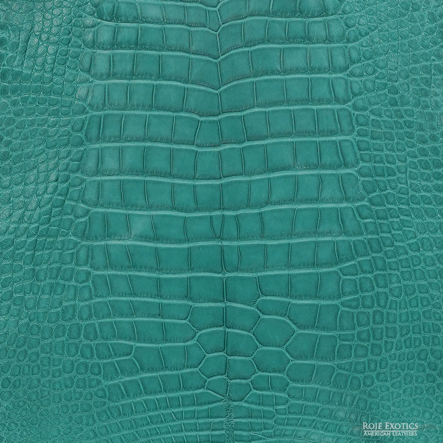 Alligator - D. Turquoise - Matte