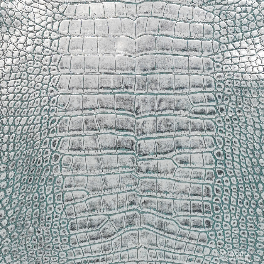 Alligator - Silver B. - Millennium 