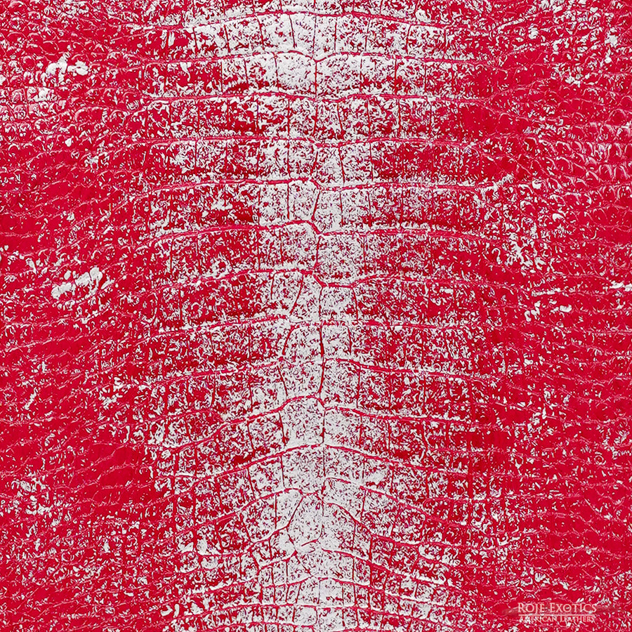 Alligator - C.D. Rose - Millennium 