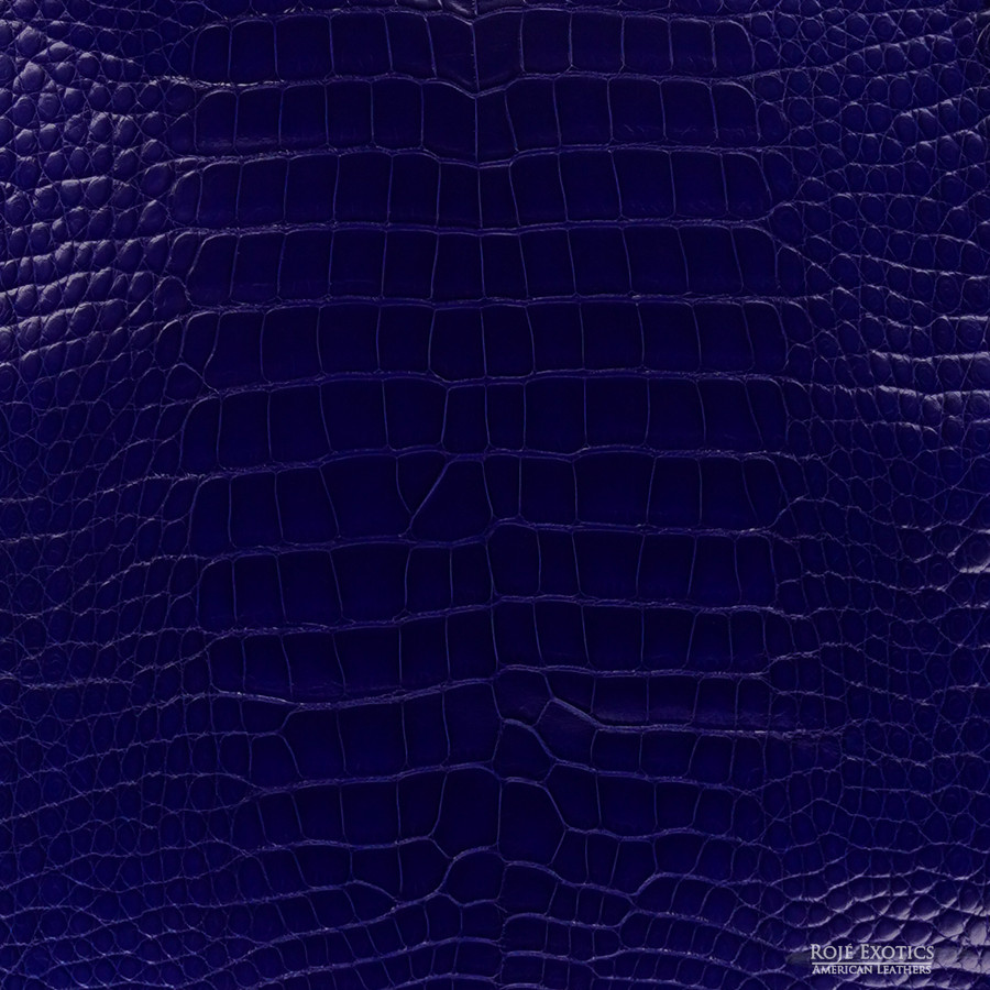 Alligator - Indigo - Millennium