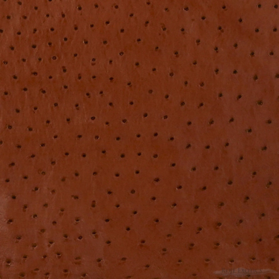 Ostrich - Kango Tabac - Sequin 