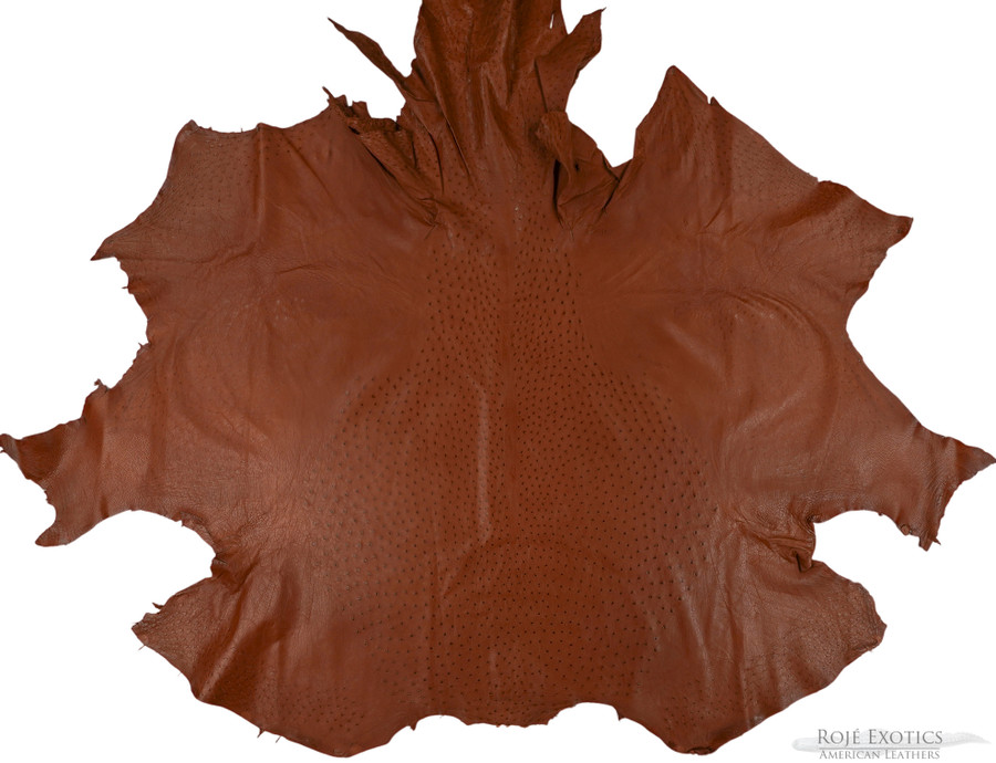 Ostrich - Kango Tabac - Sequin 