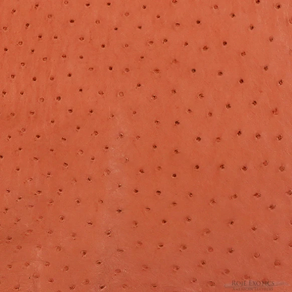 Ostrich - Peach - Sequin 
