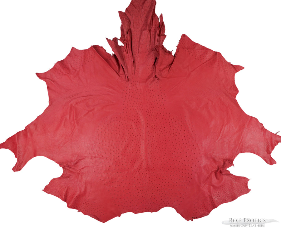 Ostrich - Rose Candy - Sequin 