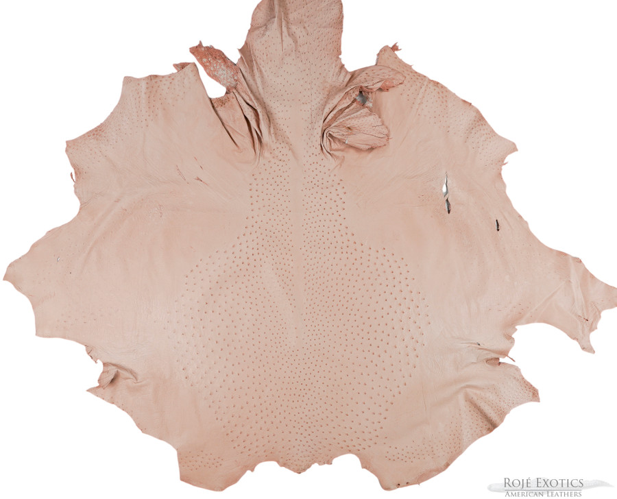 Ostrich - Rose Pedals - Sequin 