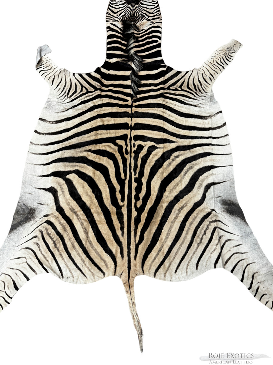 Zebra Skin - Grade A - 12