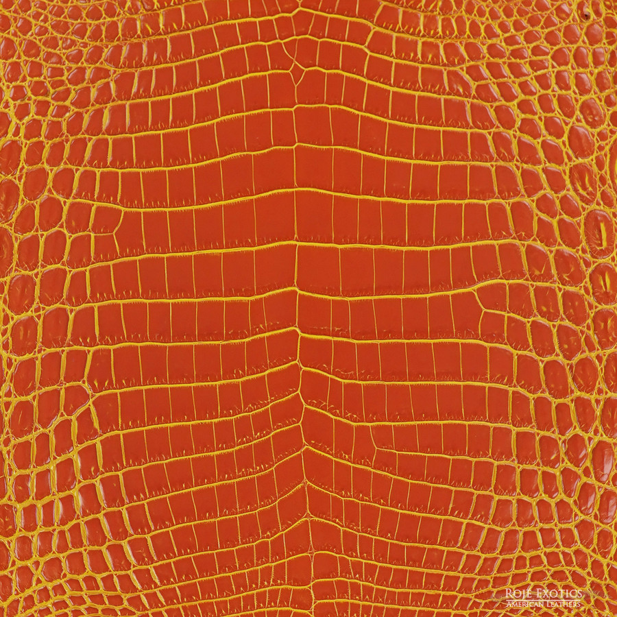 Niloticus - Orange 2 Tone - Millennium