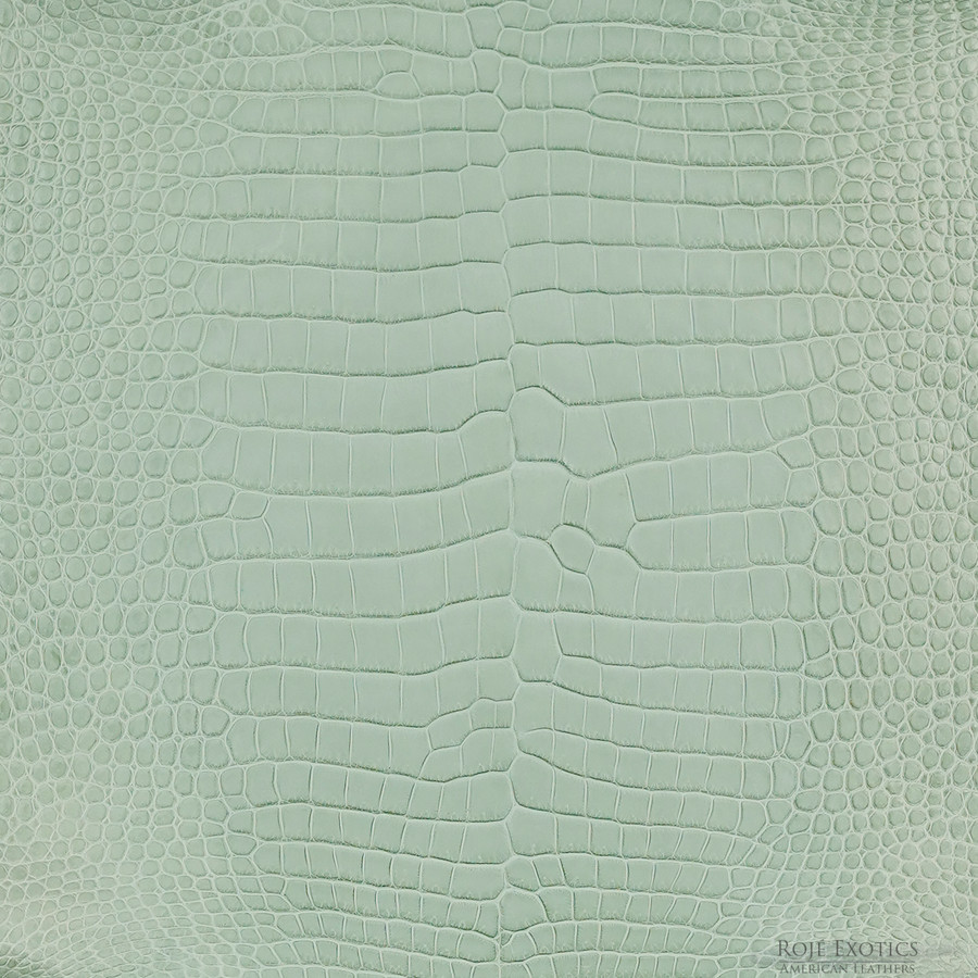 Porosus - Seafoam - Matte