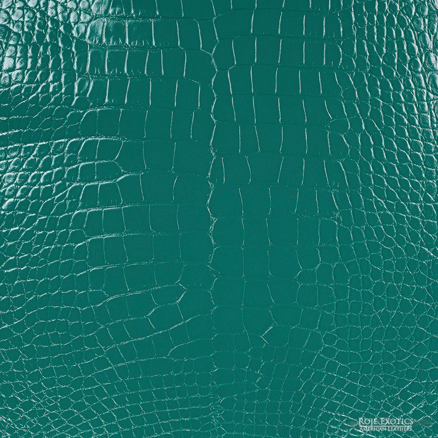 Alligator - Evergreen  - Millennium