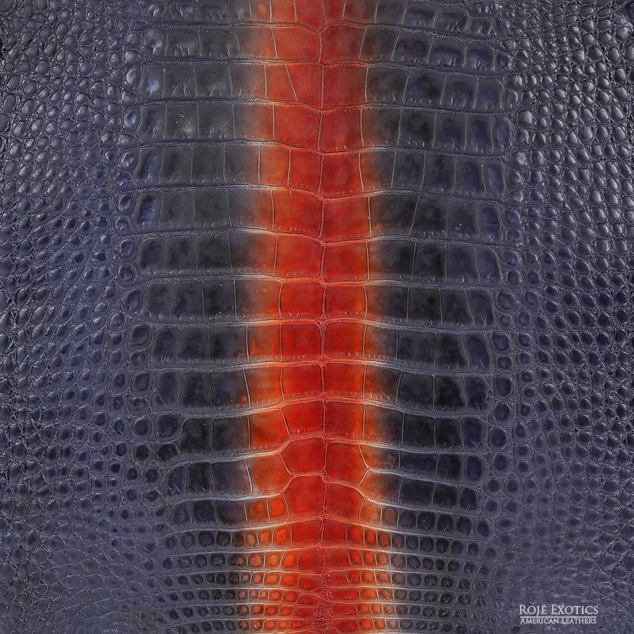 Alligator - N.O. Ombre - Matte