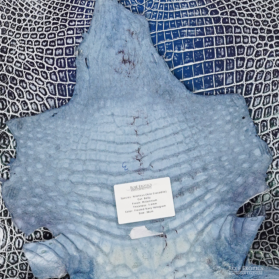 Niloticus - F. Navy H.  - Millennium