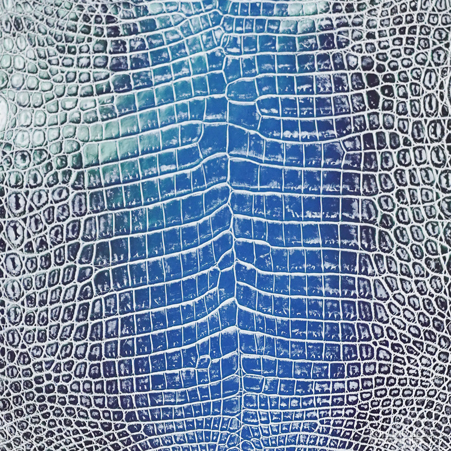 Niloticus - F. Navy H.  - Millennium