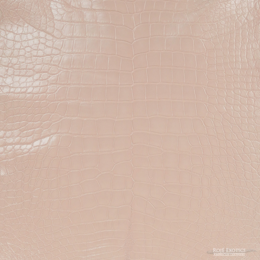 Alligator - Nude - Millennium