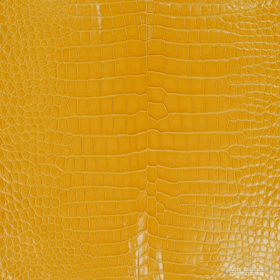 Porosus - Honeycomb - Millennium