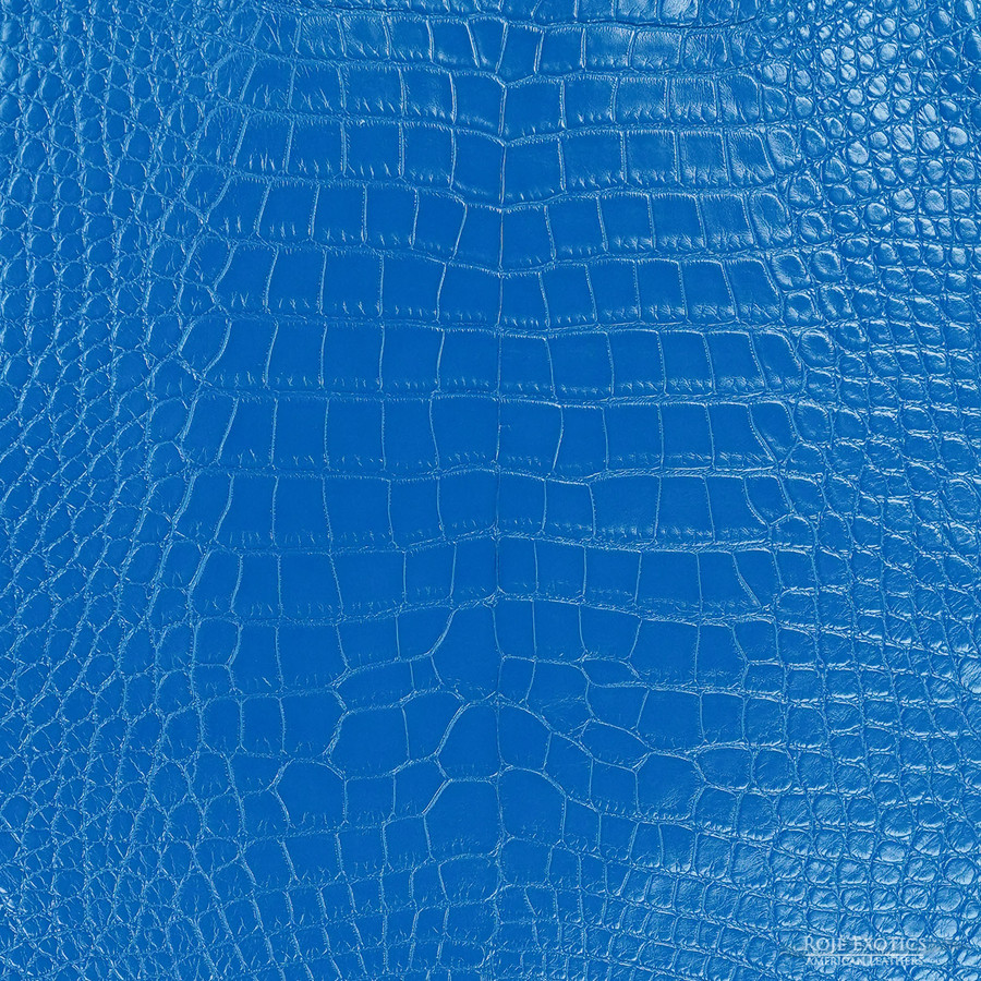 Alligator - Celadon - Millennium