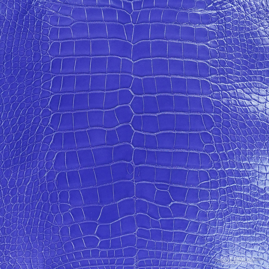 Alligator - Purple R. - Millennium