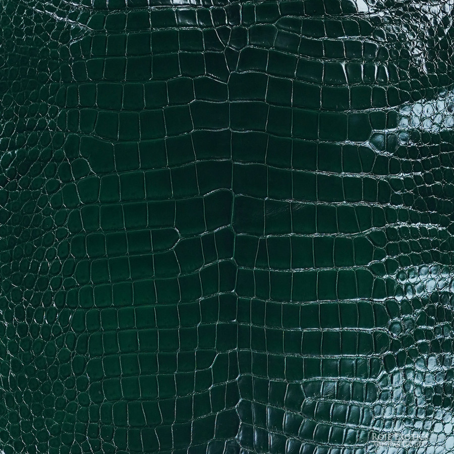 Porosus - Serpent - Millennium