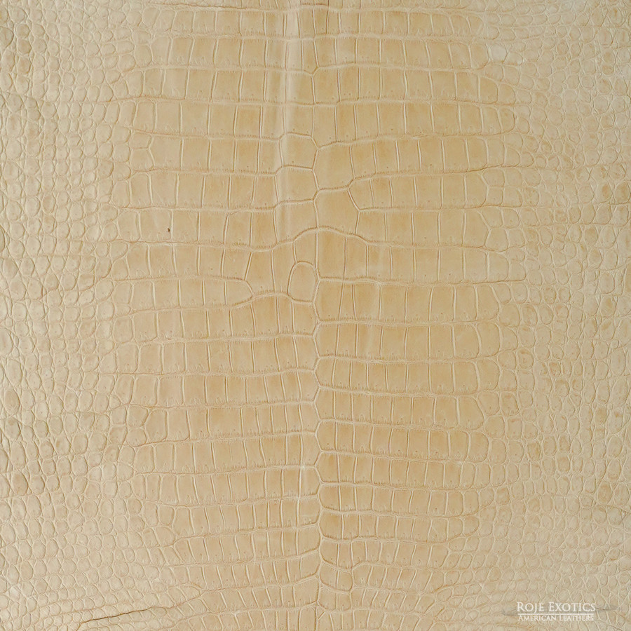 Porosus - Tawny B. -  Garment