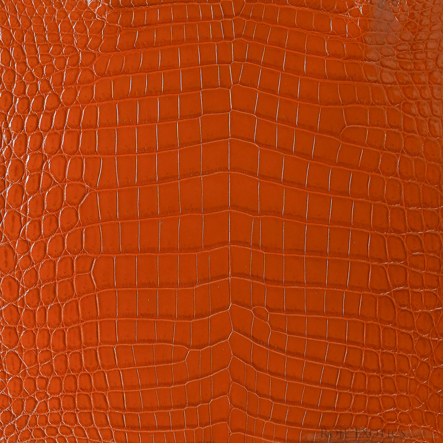 Niloticus - Cognac - Millennium