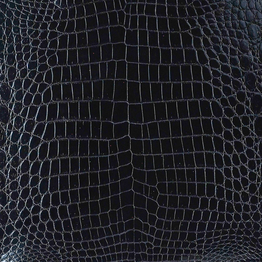 Niloticus - Black - Millennium