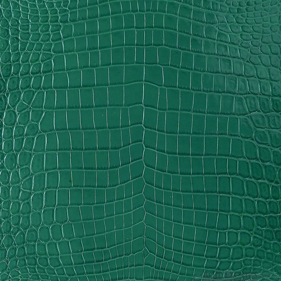 Niloticus - Emerald - Millennium