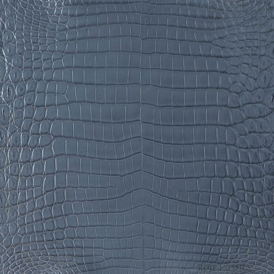 Niloticus - Grey - Millennium